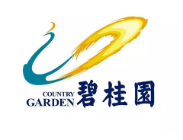 连南碧桂园地产
